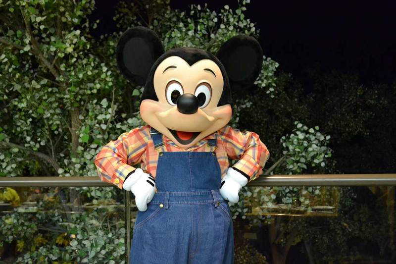 Apesar da refeição ser estrelada pelo Tico e Teco, o Mickey e o Pluto também costumam aparecer no jantar do Garden Grill.