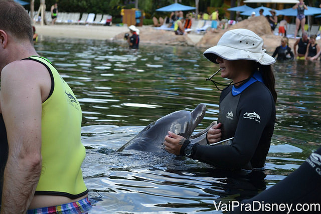 Nadar com o golfinho no Discovery Cove é uma ótima pedida para Julho, sendo o único parque suportável em Orlando