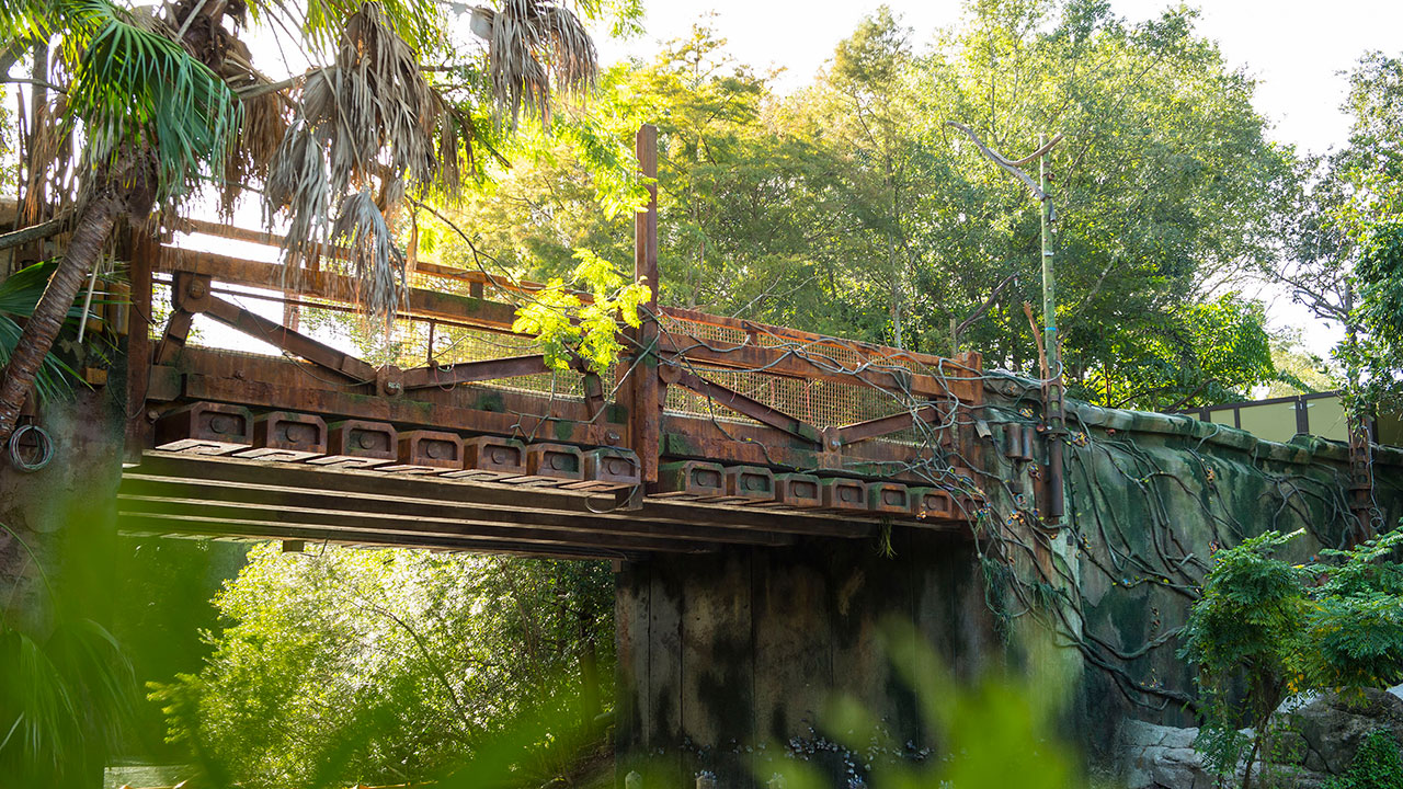 Ponte ligando a área de Avatar com o resto do parque.