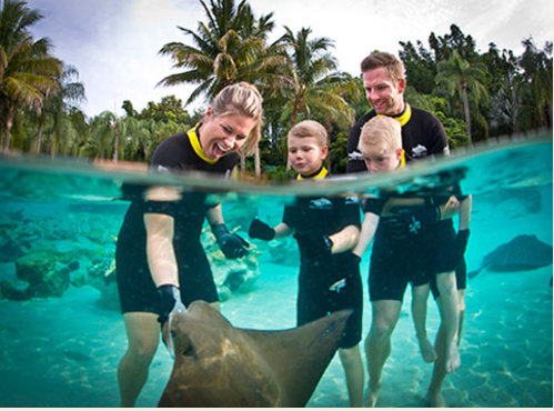 Imagem de divulgação da experiência de alimentar as raias