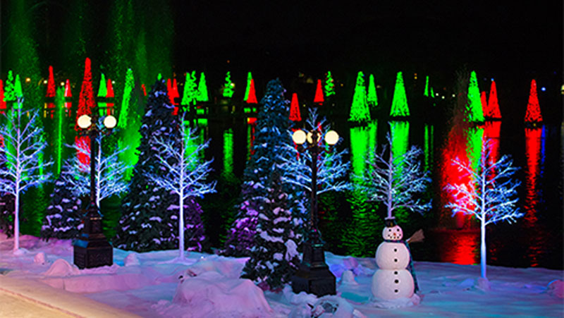 Sea of Trees: uma das principais atrações de Natal do Sea World