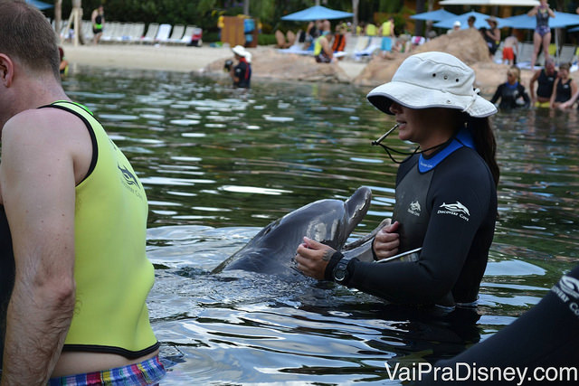 Golfinho brinca com a treinadora e com os visitantes do Discovery Cove