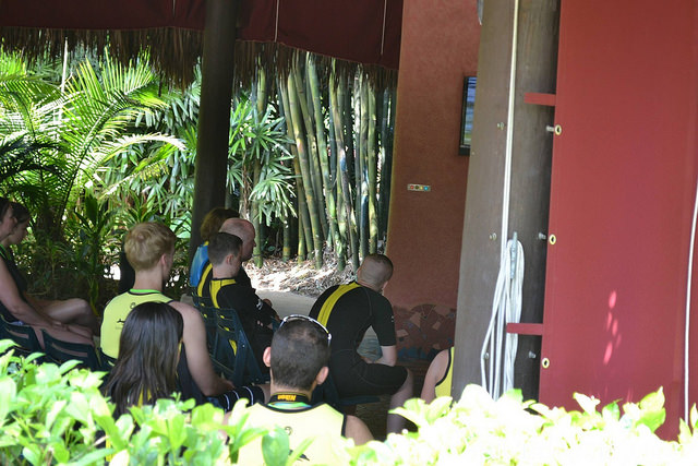 Grupo reunido para a orientação antes de entrar na água com os golfinhos no Discovery Cove