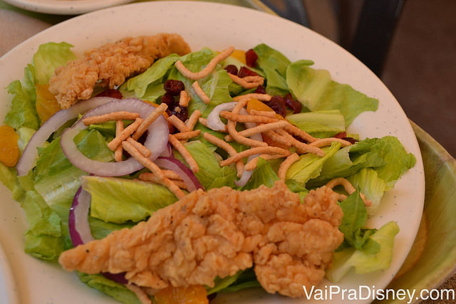 Salada com frango no almoço do Discovery Cove