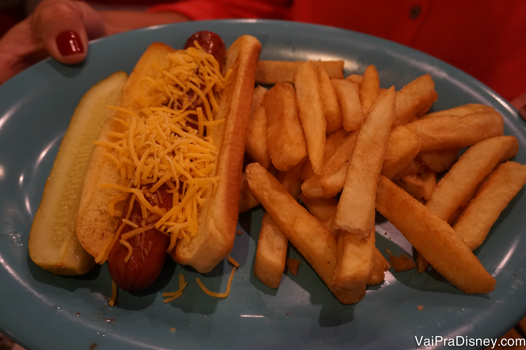 Foto de um cachorro quente no prato, com fritas ao lado 