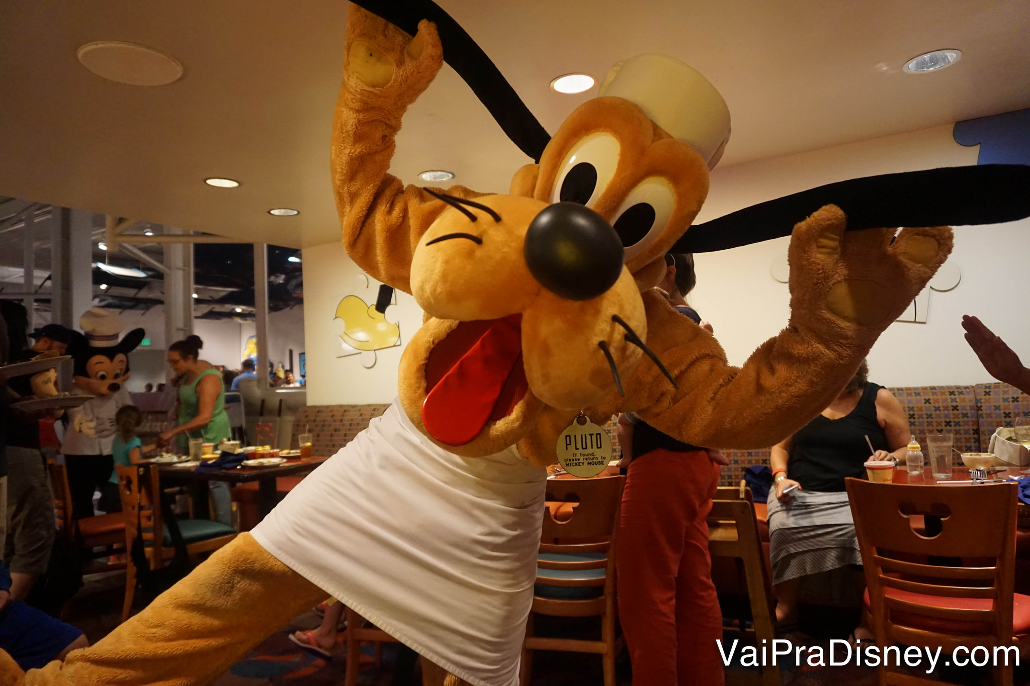 O Pluto também aparece por lá, mas ele está com o Mickey em vários outros restaurantes também. 