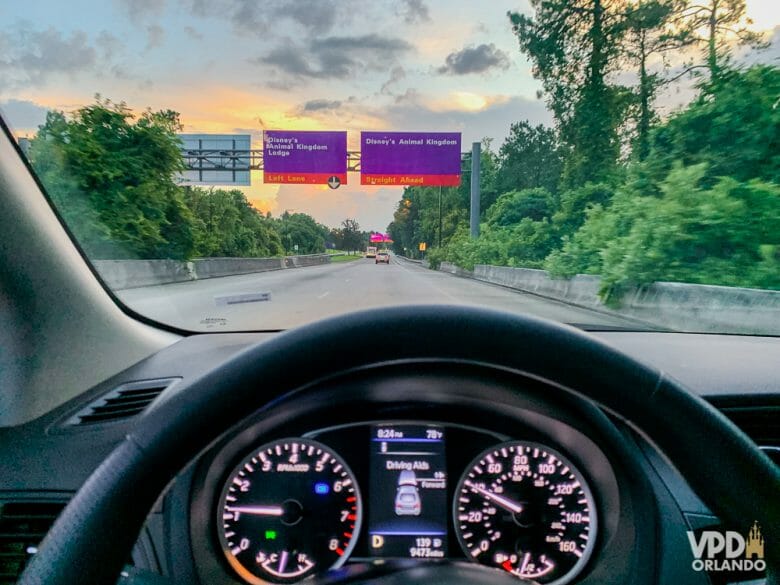 Imagem do volante de um carro andando em uma rodovia, com placas roxas indicando o caminho e árvores dos dois lados.