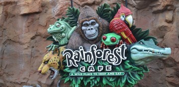 Foto da placa do Rainforest Cafe, que tem diversos animais como gorila, arara, onça e sapo.