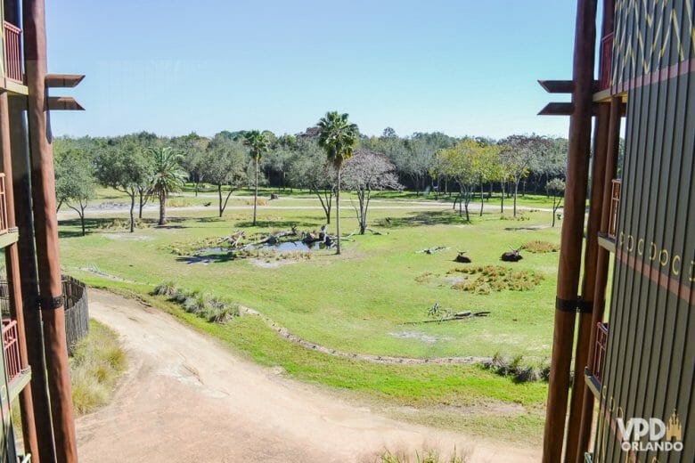 Essa era a vista do nosso quarto quando cheguei. Foto da vista do quarto do hotel, que mostra a savana com diversas árvores e um laguinho. 