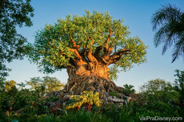 Foto da Árvore da Vida no Animal Kingdom, com o céu azul ao fundo e as outras árvores ao redor 