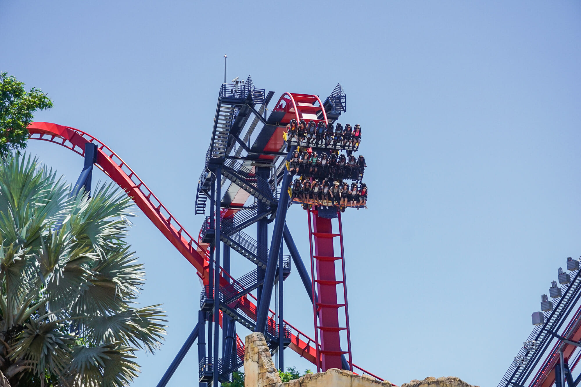 Foto da montanha-russa Sheikra, do Busch Gardens. O carrinho está no alto de um looping, e é possível ver os trilhos curvados e o céu azul ao fundo.