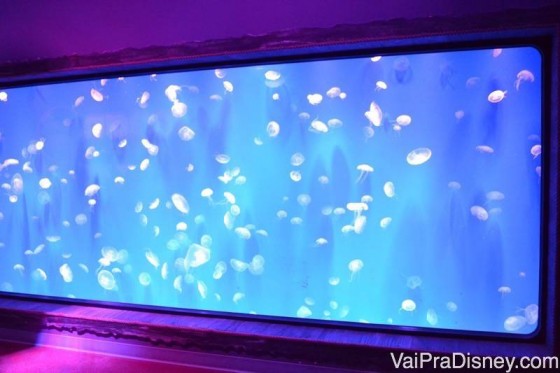 Parede com um monte de águas vivas (ou agua vivas?). Do ladinho fica painel com uns botões para você mudar a cor do aquário. 