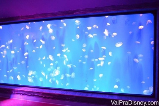 Parede com um monte de águas vivas (ou agua vivas?). Do ladinho fica painel com uns botões para você mudar a cor do aquário. 