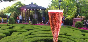 Foto de uma taça de champagne com o Epcot ao fundo, durante o Drinking Around the World