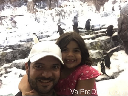 15 dias de mãe e filha em Orlando por Marcelle - Vai pra Disney?