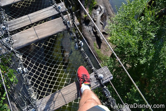 Foto da ponte de madeira e rede com os crocodilos logo abaixo 