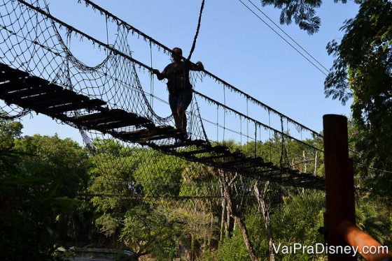 Foto da ponte de madeira pela qual os visitantes passam no Wild Africa Trek, com crocodilos logo abaixo dela 