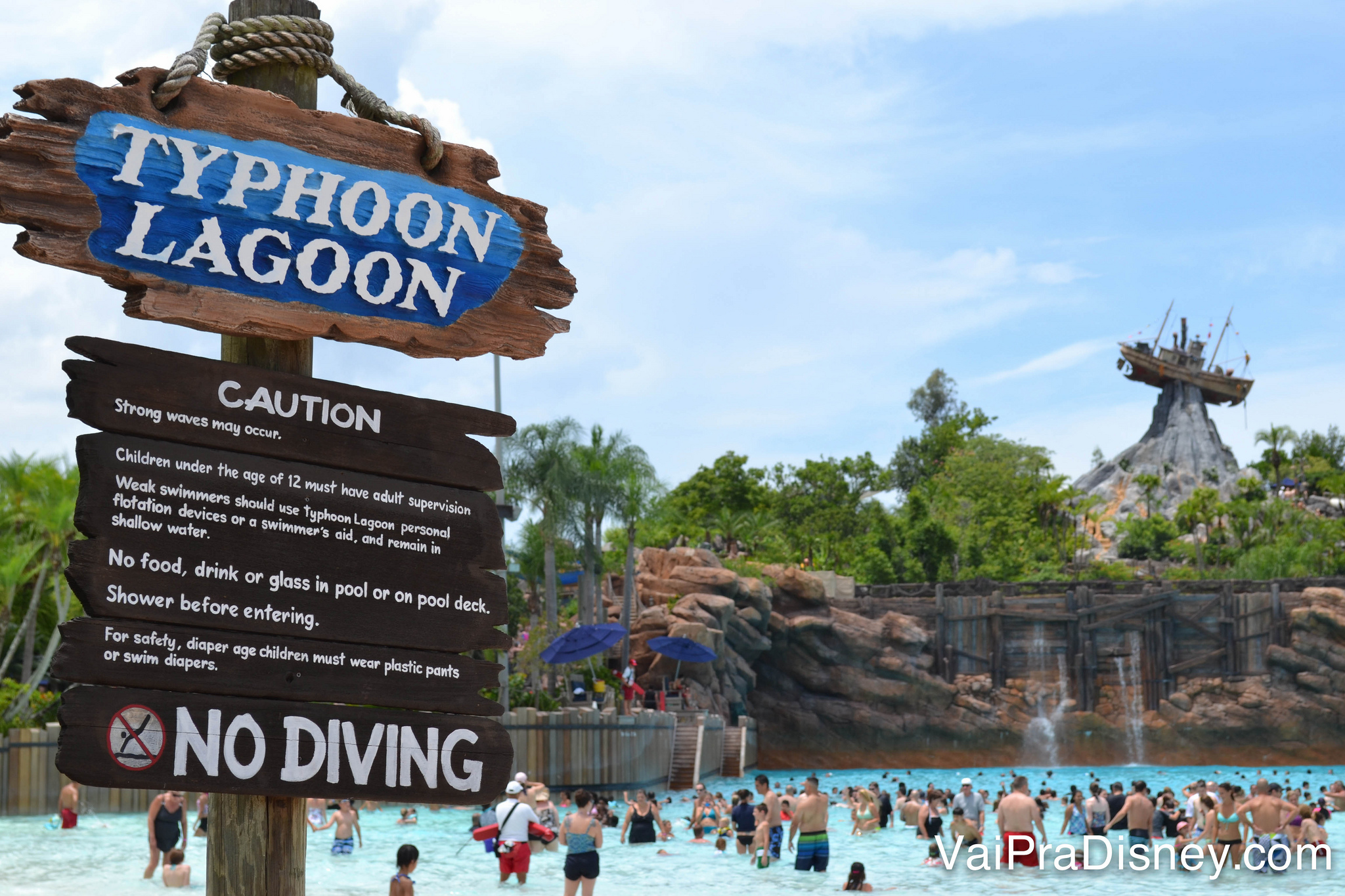 Visitar os aquáticos no verão é uma ótima ideia!