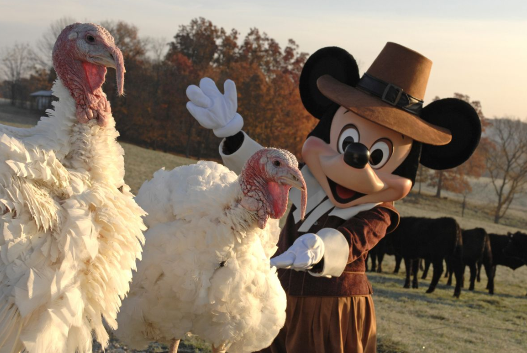 Thanksgiving e Black Friday em Orlando - Coisas de Orlando