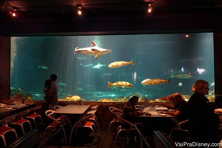 Foto do aquário com tubarões do Sharks Underwater Grill, em frente às mesas do restaurante 