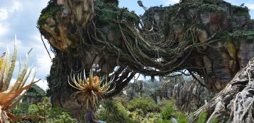 Foto da decoração de Pandora, no Animal Kingdom, com as montanhas flutuantes cobertas de vegetação e o céu azul ao fundo