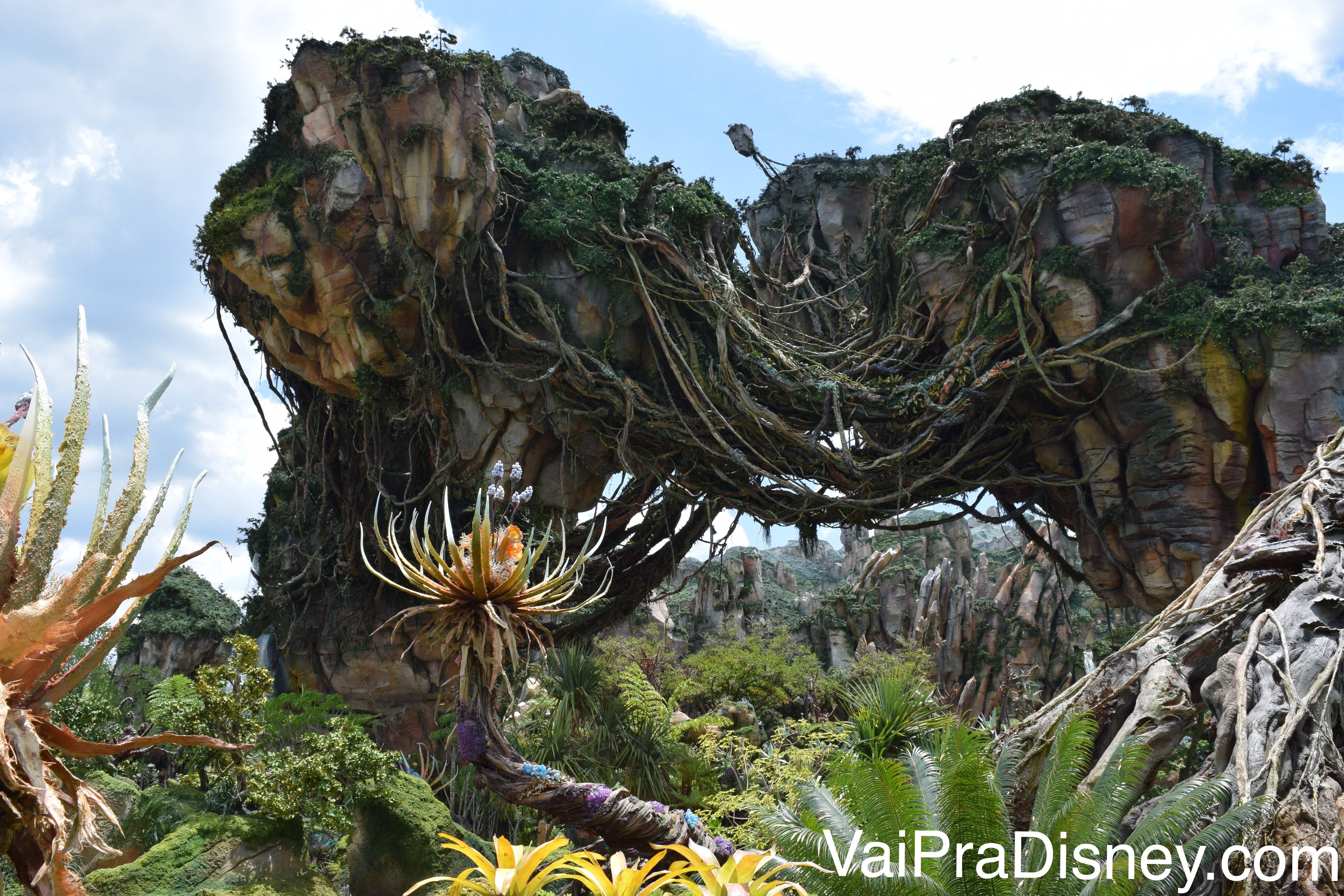 Pandora: como é a área de Avatar no Animal Kingdom - Vai pra Disney? Pandora: como é a área de Avatar no Animal Kingdom - Vai pra Disney?