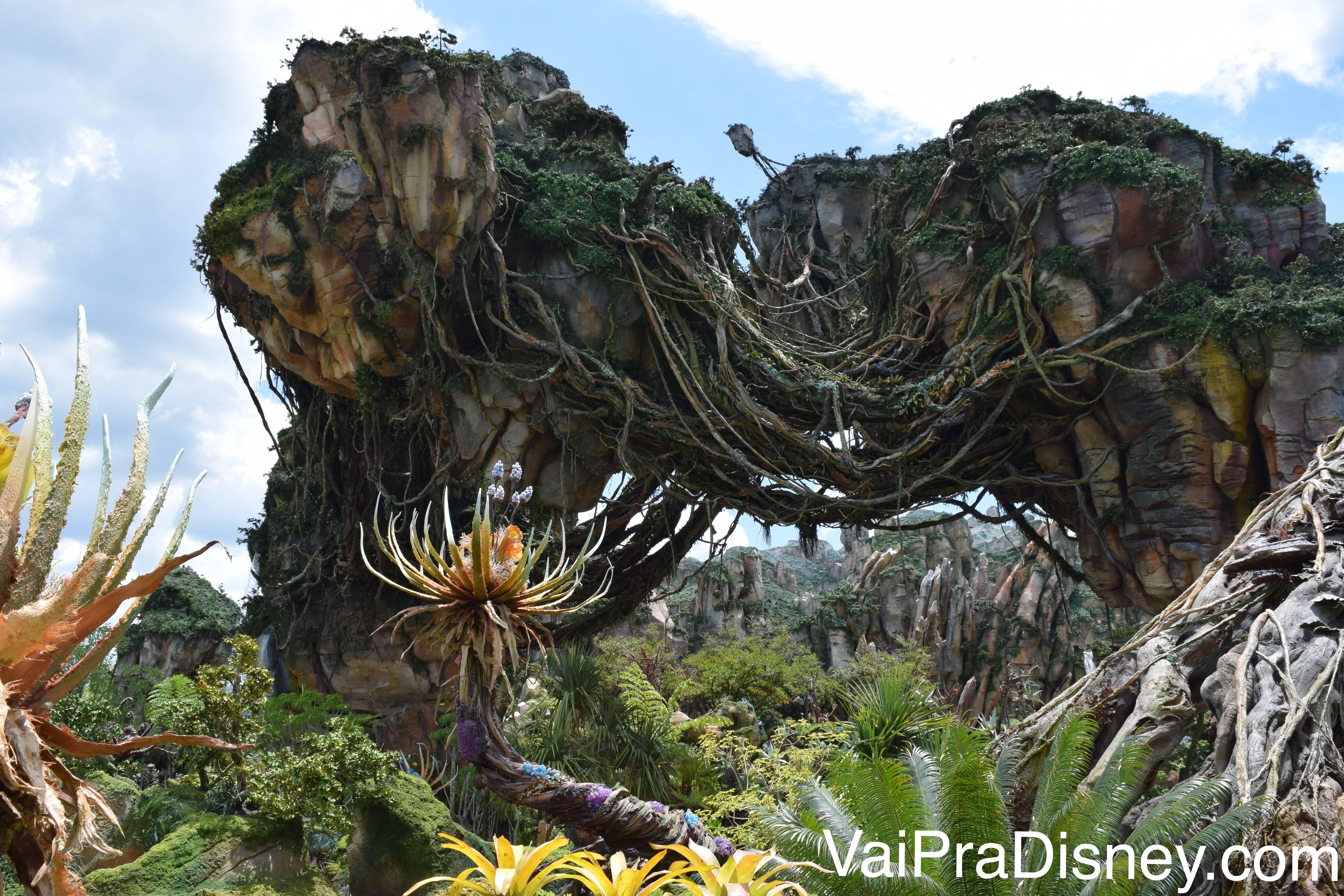 As ilhas flutuantes de Pandora são impressionantes e muito bem feitas! Foto da decoração de Pandora, no Animal Kingdom, com as montanhas flutuantes cobertas de vegetação e o céu azul ao fundo 