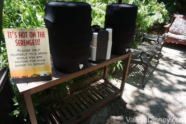 Mesinha com água e copos para beber antes do início do safari 