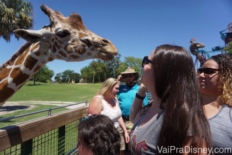 Foto da Bia no Serengeti Safari do Busch Gardens, olhando bem de pertinho para a girafa atrás da cerca da savana 