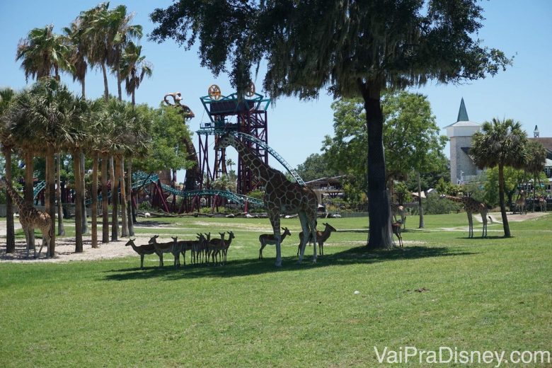 Outras girafas fotografadas mais de longe na savana 