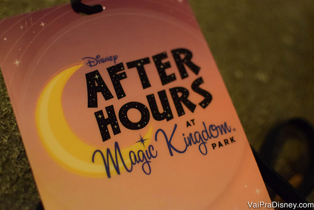After Hours at Magic Kingdom