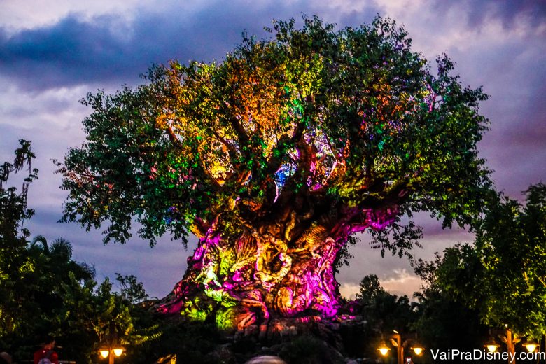 Foto da Árvore da Vida do Animal Kingdom iluminada em várias cores ao anoitecer 