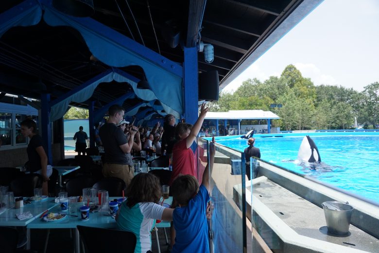 Foto dos visitantes no restaurante olhando pela janela para ver a apresentação na piscina ao lado 