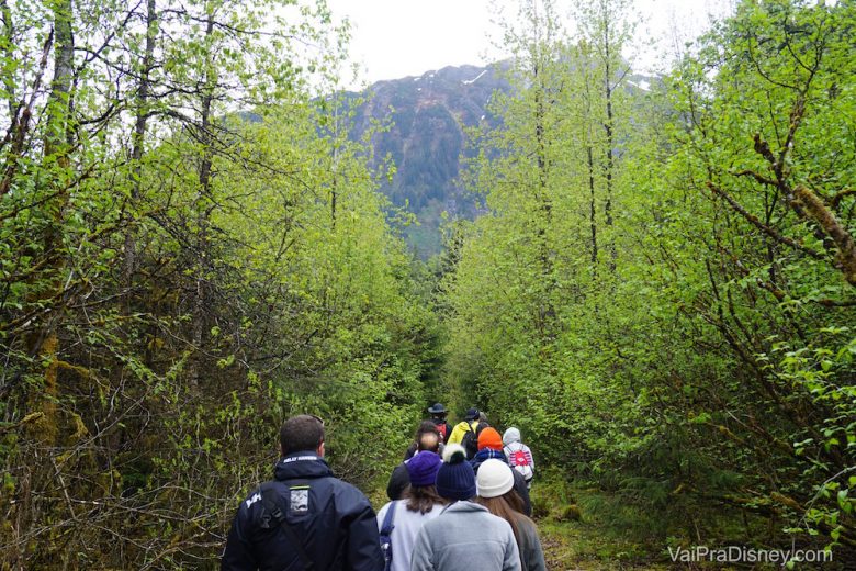 Pessoas andando na floresta como parte da excursão que fizemos pelo Alasca. 