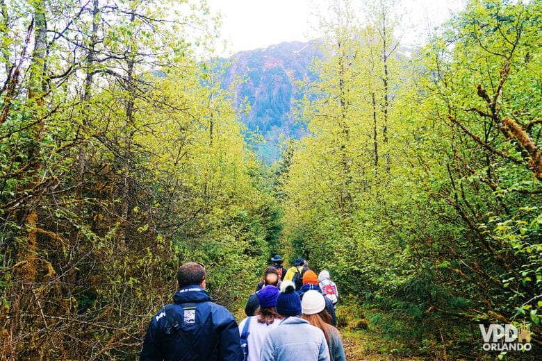 Pessoas andando na floresta como parte da excursão que fizemos pelo Alasca. 