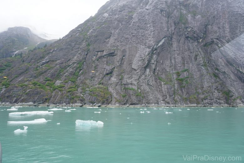 Foto da geleira durante o passeio pelo Endicott Arm no cruzeiro pelo Alaska 
