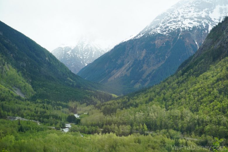 Foto da paisagem de montanhas e árvores do Alaska 