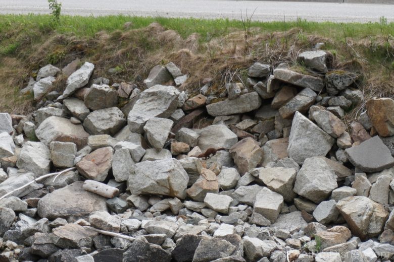 Foto de algumas pedras, uma tentativa de tirar foto de animais 