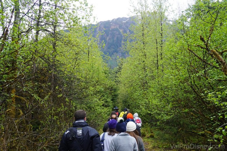 Foto dos visitantes entrando na trilha entre as árvores em Juneau 