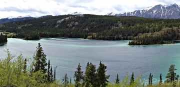 Foto do Emerald Lake, no Alaska, durante o passeio que a Monica, irmã da Renata, fez, chamado Yukon Discovery Tour