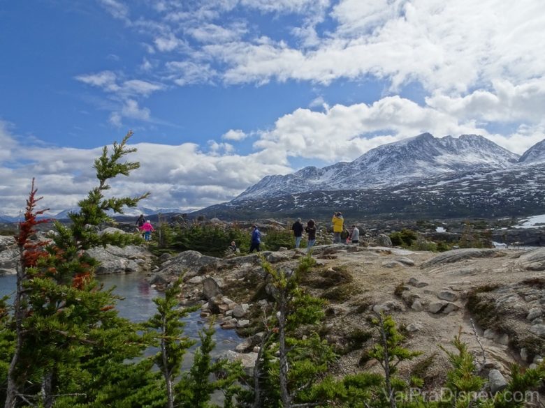 Foto da paisagem durante o passeio do Alaska 