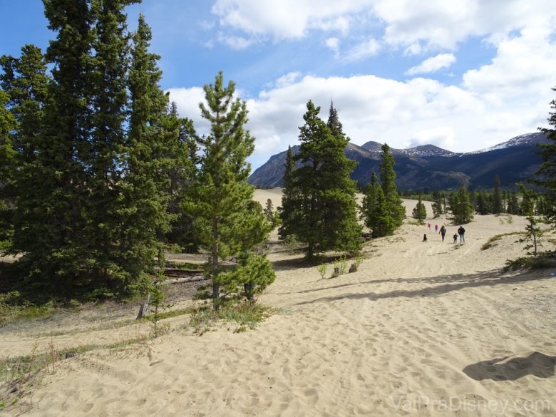 Foto do Deserto Carcross, no Alaska 