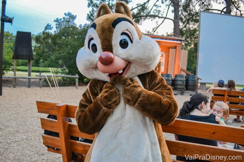 CHIP AND DALE CAMPFIRE 