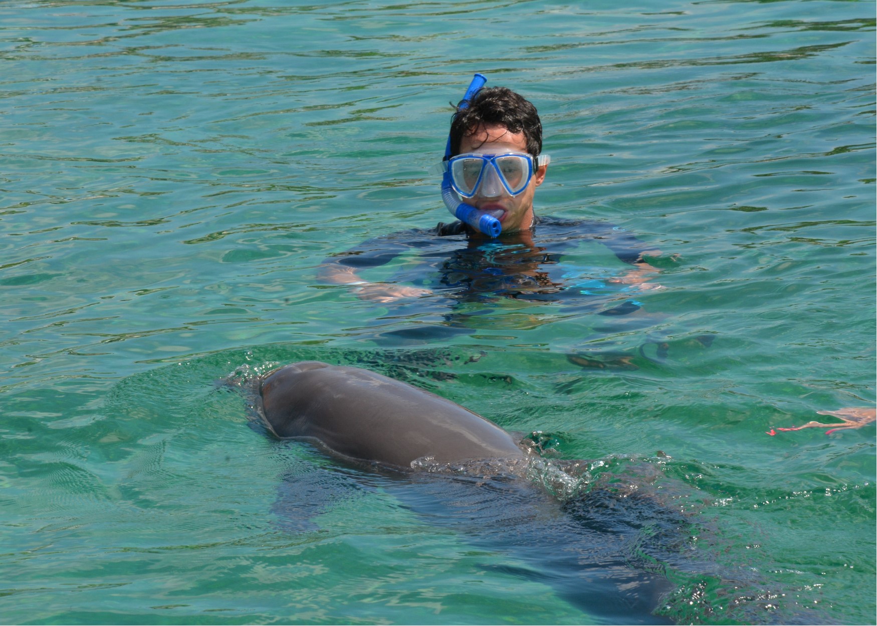 Foto do Henrique com o golfinho durante o cruzeiro da Disney, no Atlantis das Bahamas 