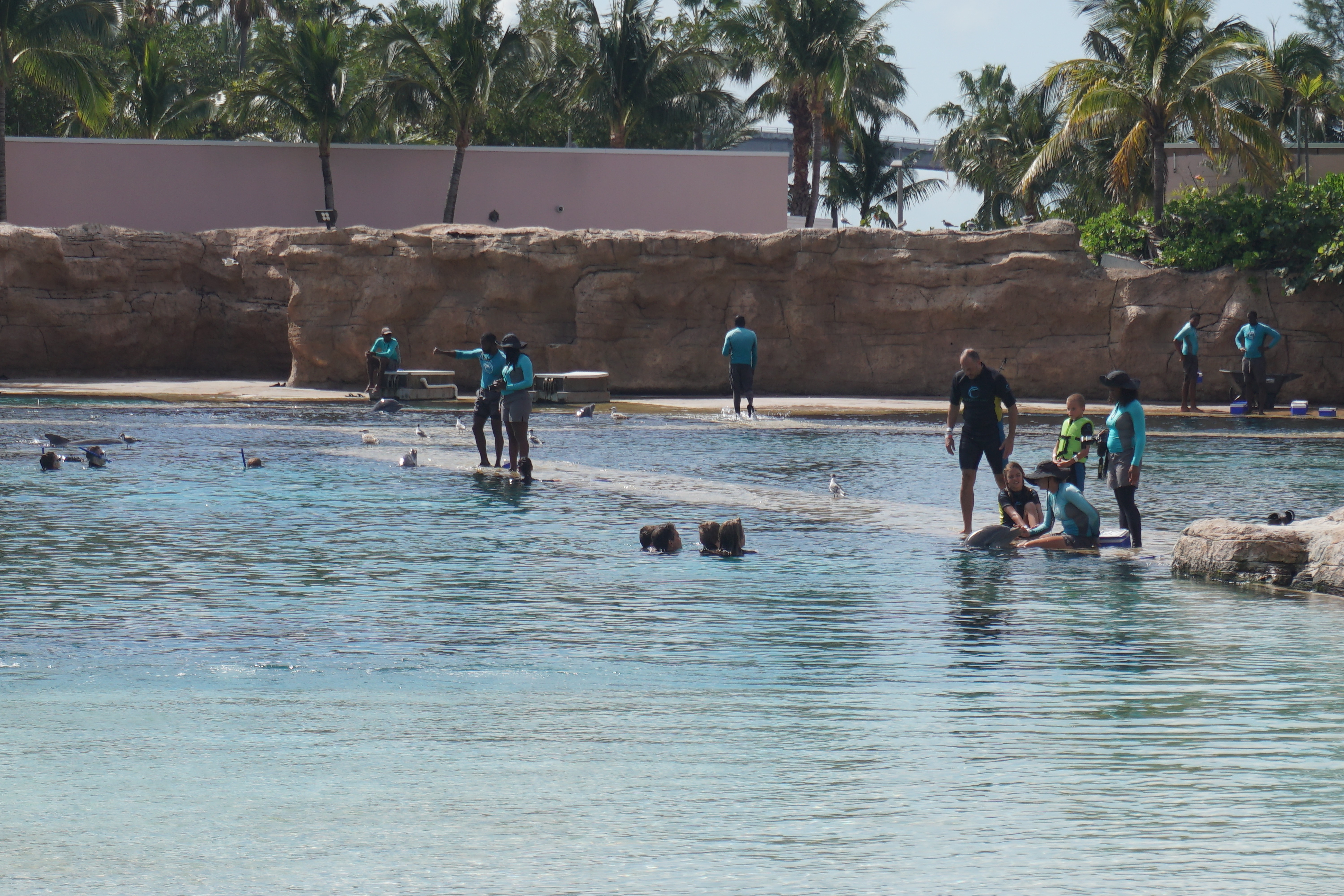 Foto dos visitantes no piscinão e as instrutoras na ilhazinha