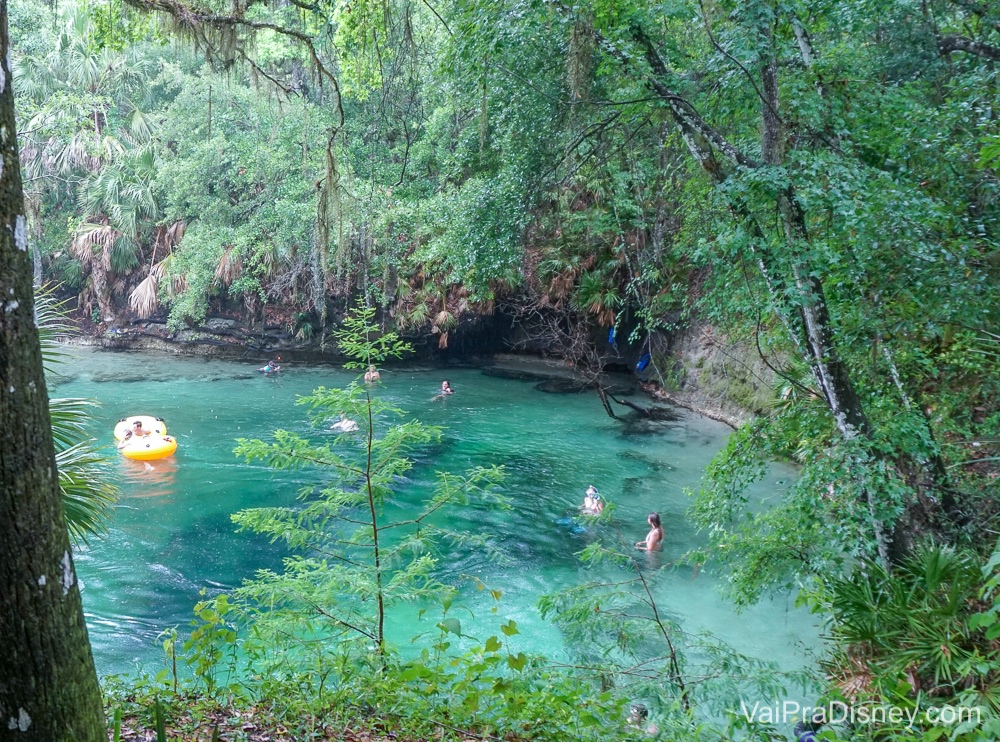 Springs da Flórida: 10+ Piscinas naturais lindas pertinho de Orlando