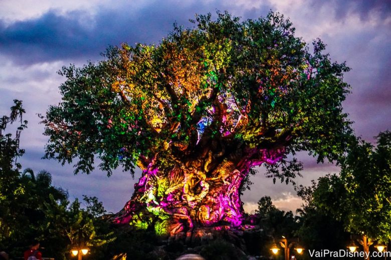 Foto da árvore da vida do Animal Kingdom iluminada à noite, com projeções coloridas 