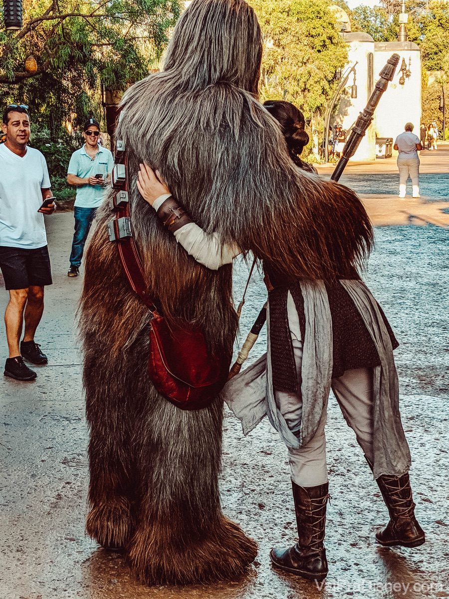 Foto dos personagens Chewbacca e Rey se abraçando, vistos de costas, na área de Star Wars 