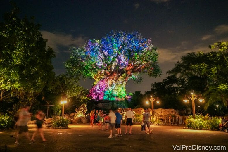 Foto da Árvore da Vida do Animal Kingdom iluminada durante a noite, com luzes multicoloridas, e visitantes passeando pelo parque. 