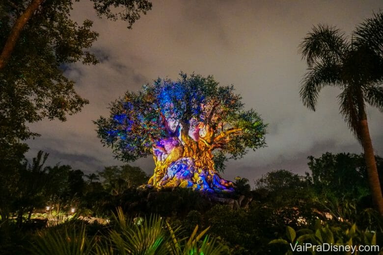 Foto do Animal Kingdom à noite, com a Árvore da Vida iluminada com luzes multicoloridas e outras árvores ao redor. 